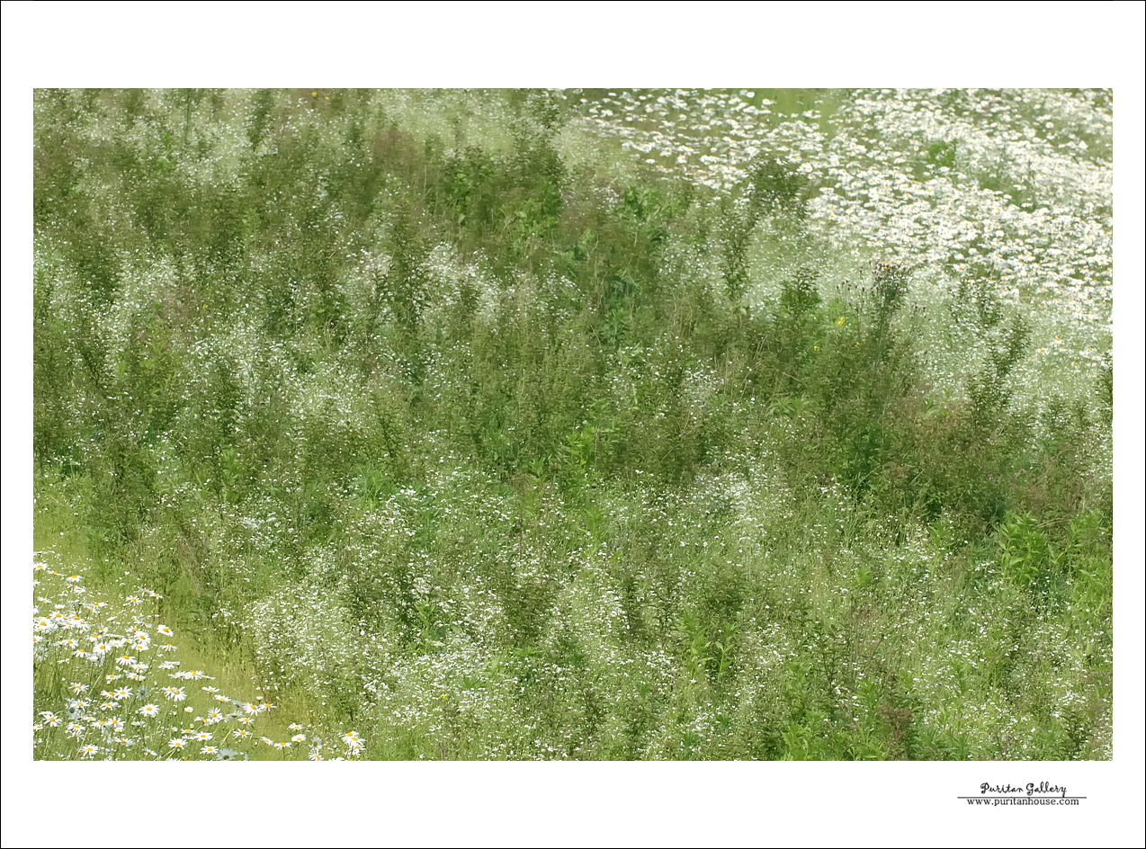 201101020640223793407.DSC_0067.jpg