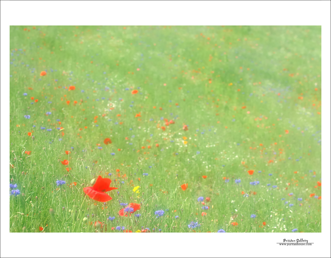201101020640223793407.DSC_0068.jpg