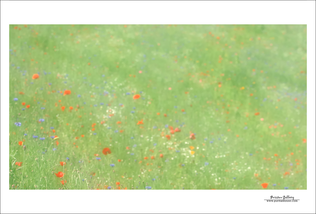 201101020640223793407.DSC_0068a.jpg