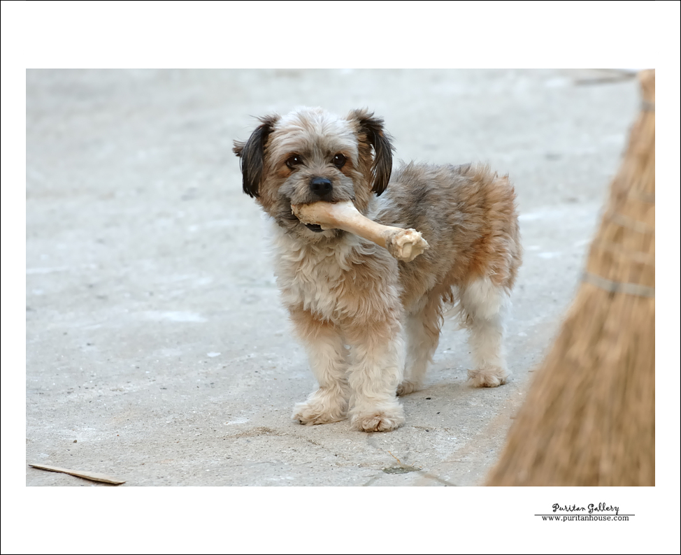 201101020640223793407.DSC_0142.jpg