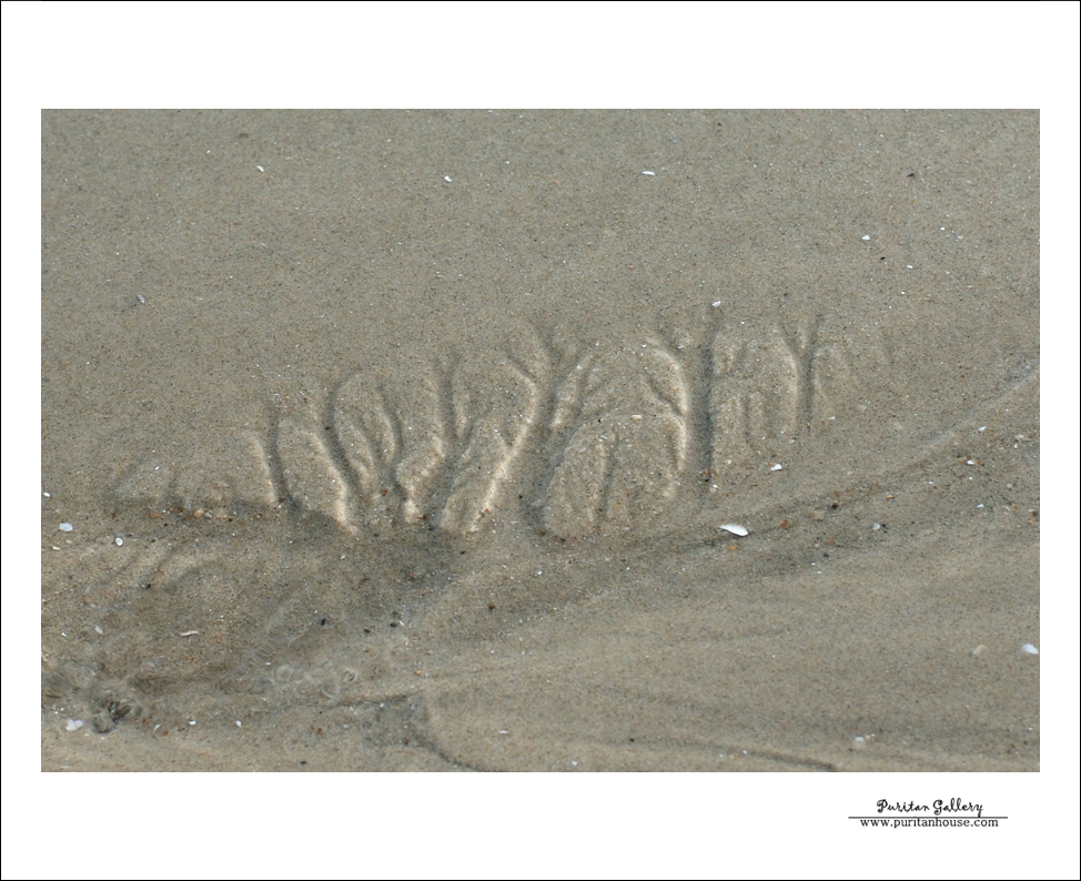 201101020640223793407.DSC_0157.jpg