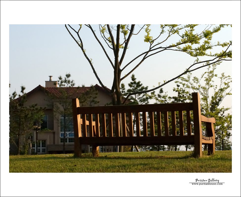 201101020640223793407.DSC_0161.jpg