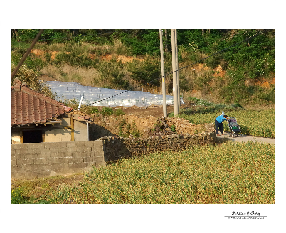 201101020640223793407.DSC_0171.jpg