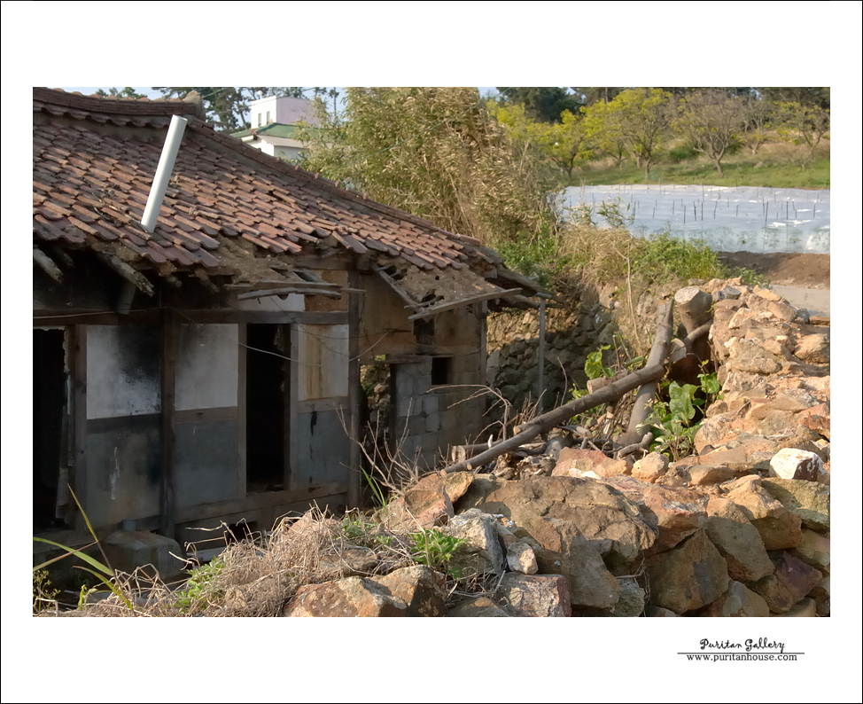201101020640223793407.DSC_0172.jpg