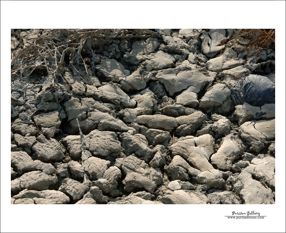 201101020640223793407.DSC_0185.jpg